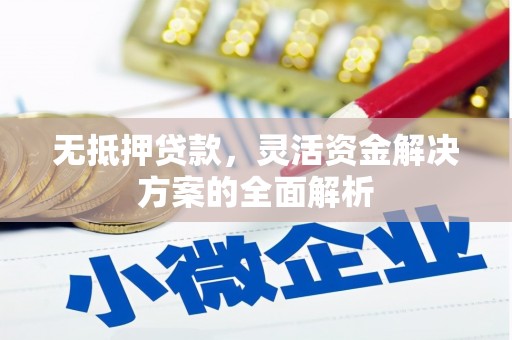 临翔无抵押贷款，灵活资金解决方案的全面解析