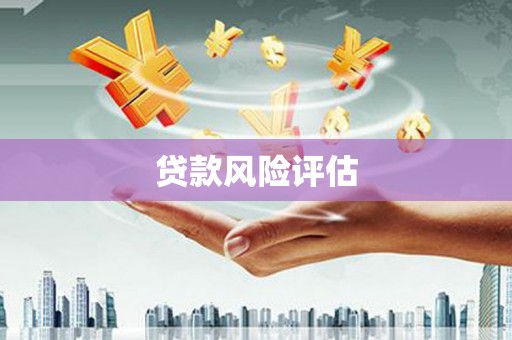 临翔贷款风险评估