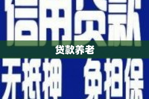 临翔贷款养老