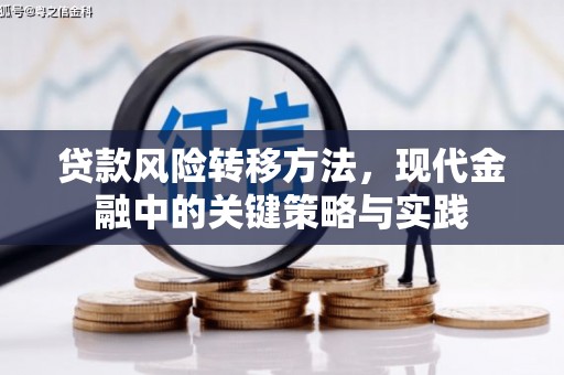 临翔贷款风险转移方法，现代金融中的关键策略与实践