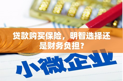 临翔贷款购买保险，明智选择还是财务负担？