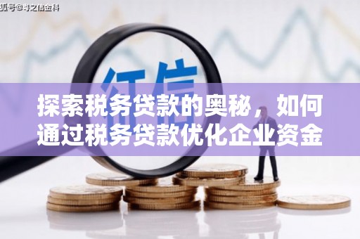 临翔探索税务贷款的奥秘，如何通过税务贷款优化企业资金流