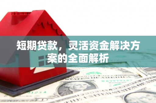 临翔短期贷款，灵活资金解决方案的全面解析