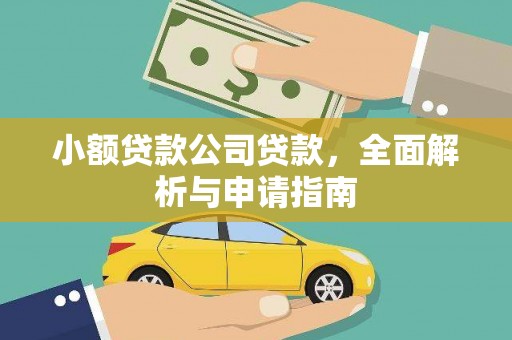 临翔小额贷款公司贷款，全面解析与申请指南