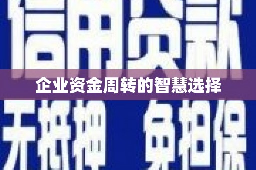 临翔企业资金周转的智慧选择