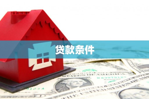 临翔贷款条件