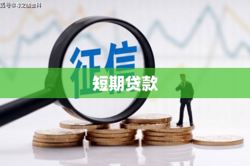 临翔短期贷款