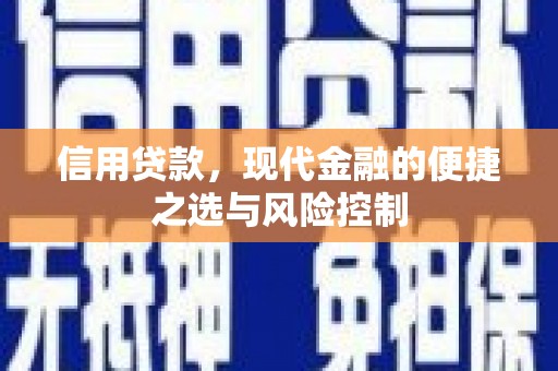 临翔信用贷款，现代金融的便捷之选与风险控制