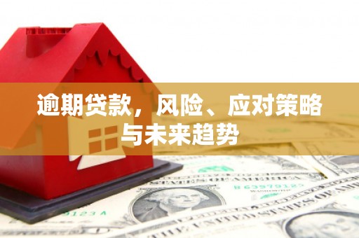 临翔逾期贷款，风险、应对策略与未来趋势