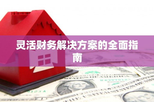 临翔灵活财务解决方案的全面指南