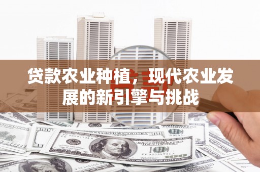 临翔贷款农业种植，现代农业发展的新引擎与挑战