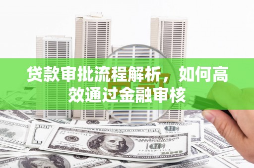 临翔贷款审批流程解析，如何高效通过金融审核