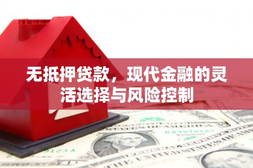 临翔无抵押贷款，现代金融的灵活选择与风险控制