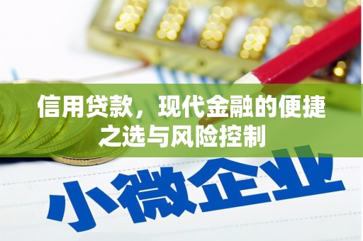 临翔信用贷款，现代金融的便捷之选与风险控制
