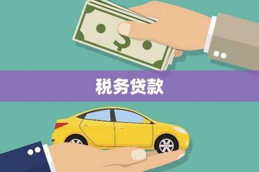 临翔税务贷款