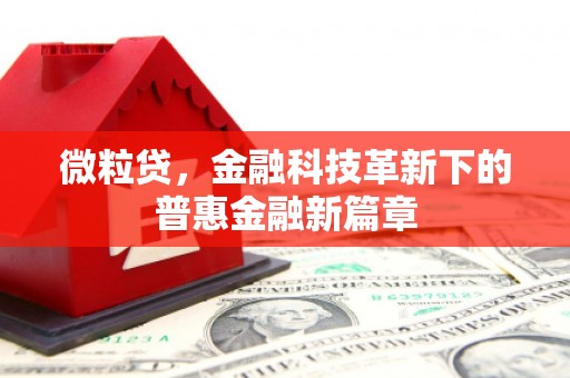 临翔微粒贷，金融科技革新下的普惠金融新篇章