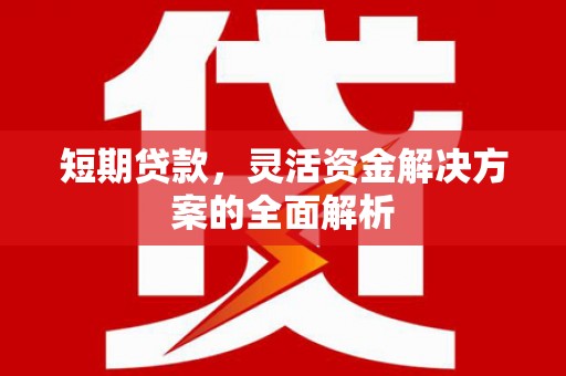 临翔短期贷款，灵活资金解决方案的全面解析