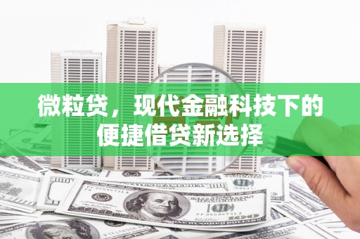 临翔微粒贷，现代金融科技下的便捷借贷新选择