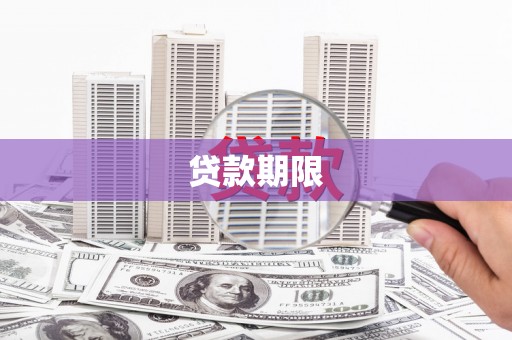 临翔贷款期限