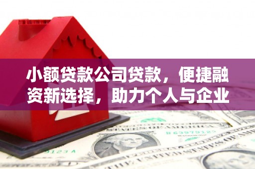临翔小额贷款公司贷款，便捷融资新选择，助力个人与企业成长