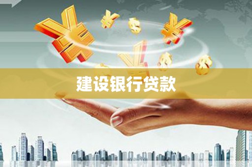 临翔建设银行贷款