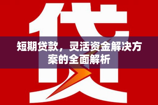 临翔短期贷款，灵活资金解决方案的全面解析