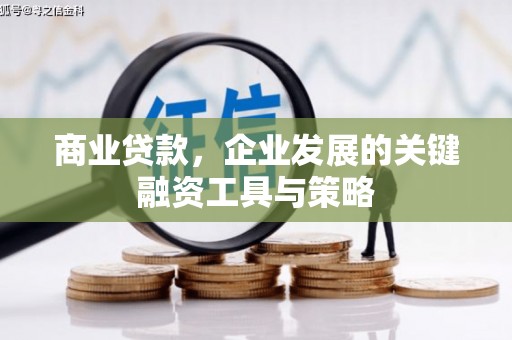 临翔商业贷款，企业发展的关键融资工具与策略