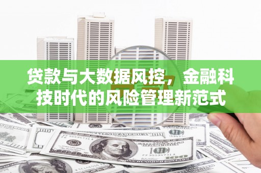 临翔贷款与大数据风控，金融科技时代的风险管理新范式