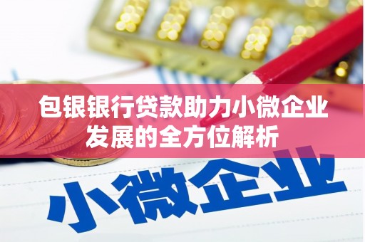 临翔包银银行贷款助力小微企业发展的全方位解析