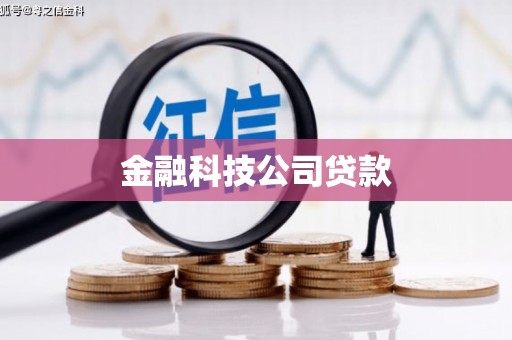 临翔金融科技公司贷款