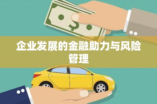 临翔企业发展的金融助力与风险管理