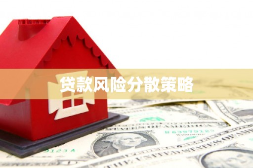 临翔贷款风险分散策略