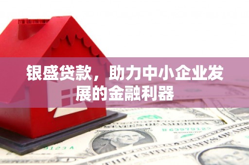 临翔银盛贷款，助力中小企业发展的金融利器
