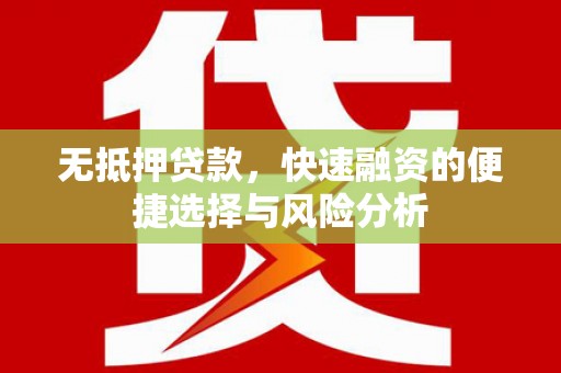 临翔无抵押贷款，快速融资的便捷选择与风险分析