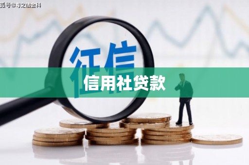 临翔信用社贷款