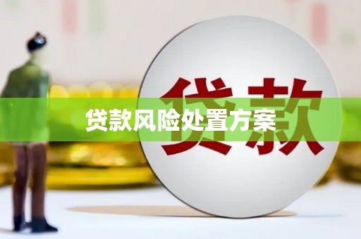 临翔贷款风险处置方案