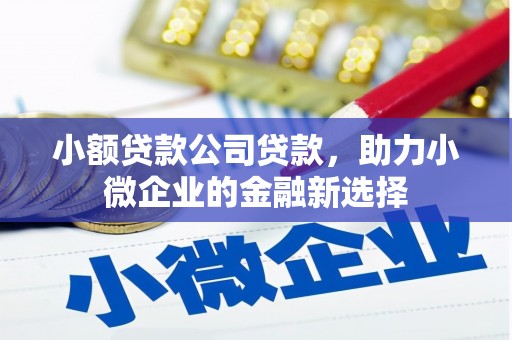 临翔小额贷款公司贷款，助力小微企业的金融新选择