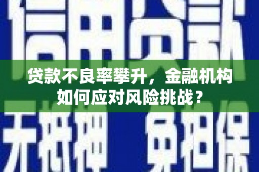 临翔贷款不良率攀升，金融机构如何应对风险挑战？