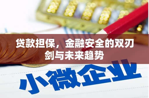临翔贷款担保，金融安全的双刃剑与未来趋势