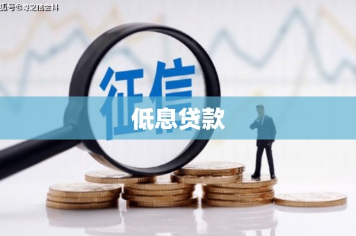 临翔低息贷款
