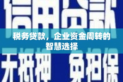临翔税务贷款，企业资金周转的智慧选择