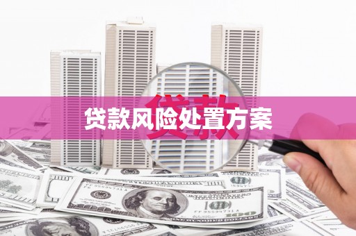 临翔贷款风险处置方案