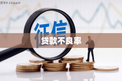 临翔贷款不良率