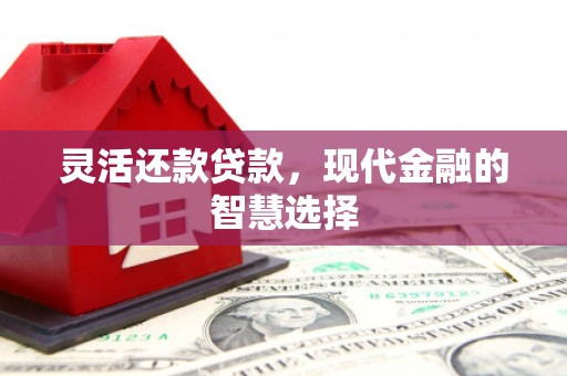 临翔灵活还款贷款，现代金融的智慧选择