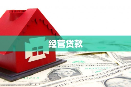 临翔经营贷款