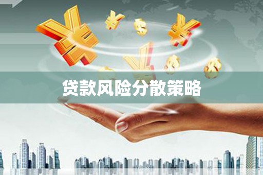 临翔贷款风险分散策略