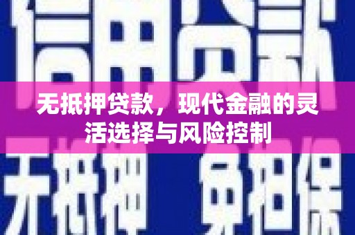 临翔无抵押贷款，现代金融的灵活选择与风险控制