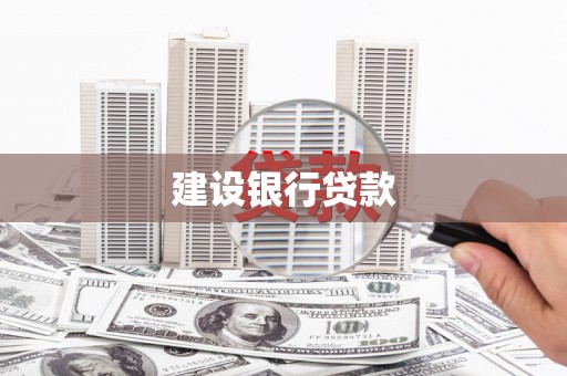 临翔建设银行贷款