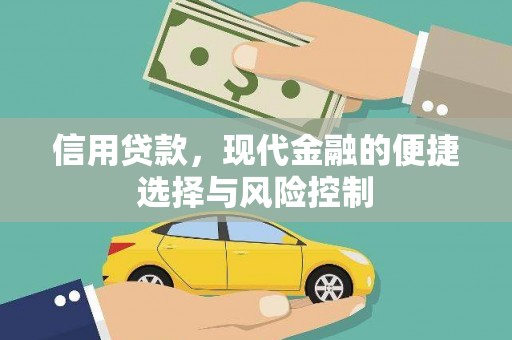 临翔信用贷款，现代金融的便捷选择与风险控制