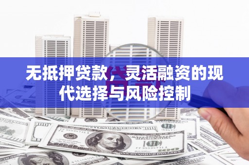 临翔无抵押贷款，灵活融资的现代选择与风险控制